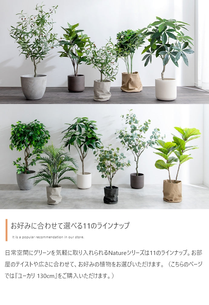 光触媒人工観葉植物 ユーカリ 高さ130cm | 【公式】allecore(アレコレ