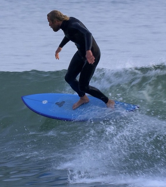 FEB'S FISH 入荷 と カラーとレングス・フィンについて | サーフィン