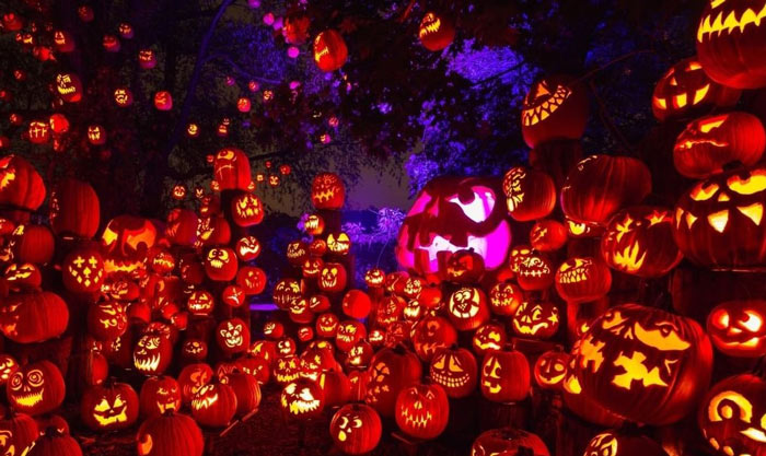 アメリカ現地レポート！ハロウィンの映えスポット・ジャックオランタン