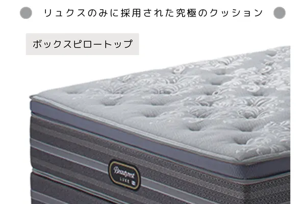 カイタックリビング アメニカ