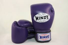WINDY ウィンディ キック ボクシンググローブ 14オンス 紫 purpleの