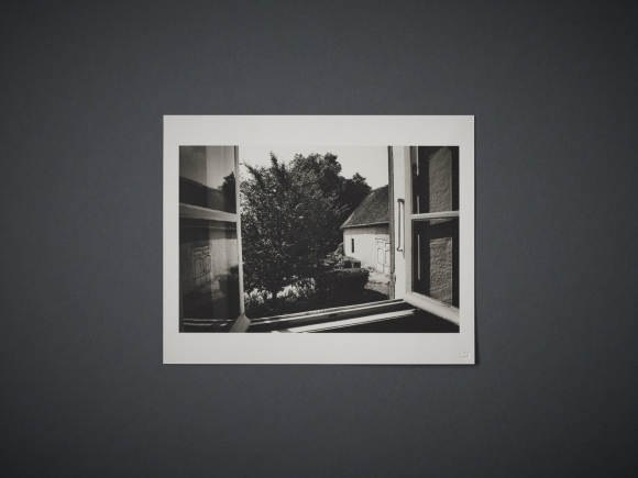 Daido Moriyama Book + Folio 『実験室からの眺め』 | amanasalto