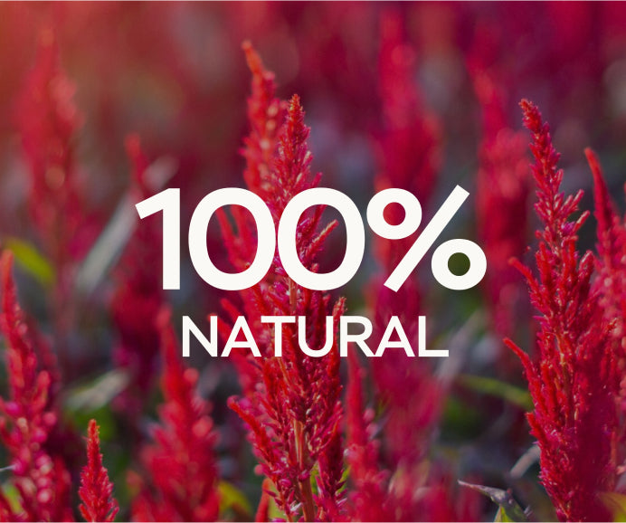 天然アマランサスオイル – Amarantica