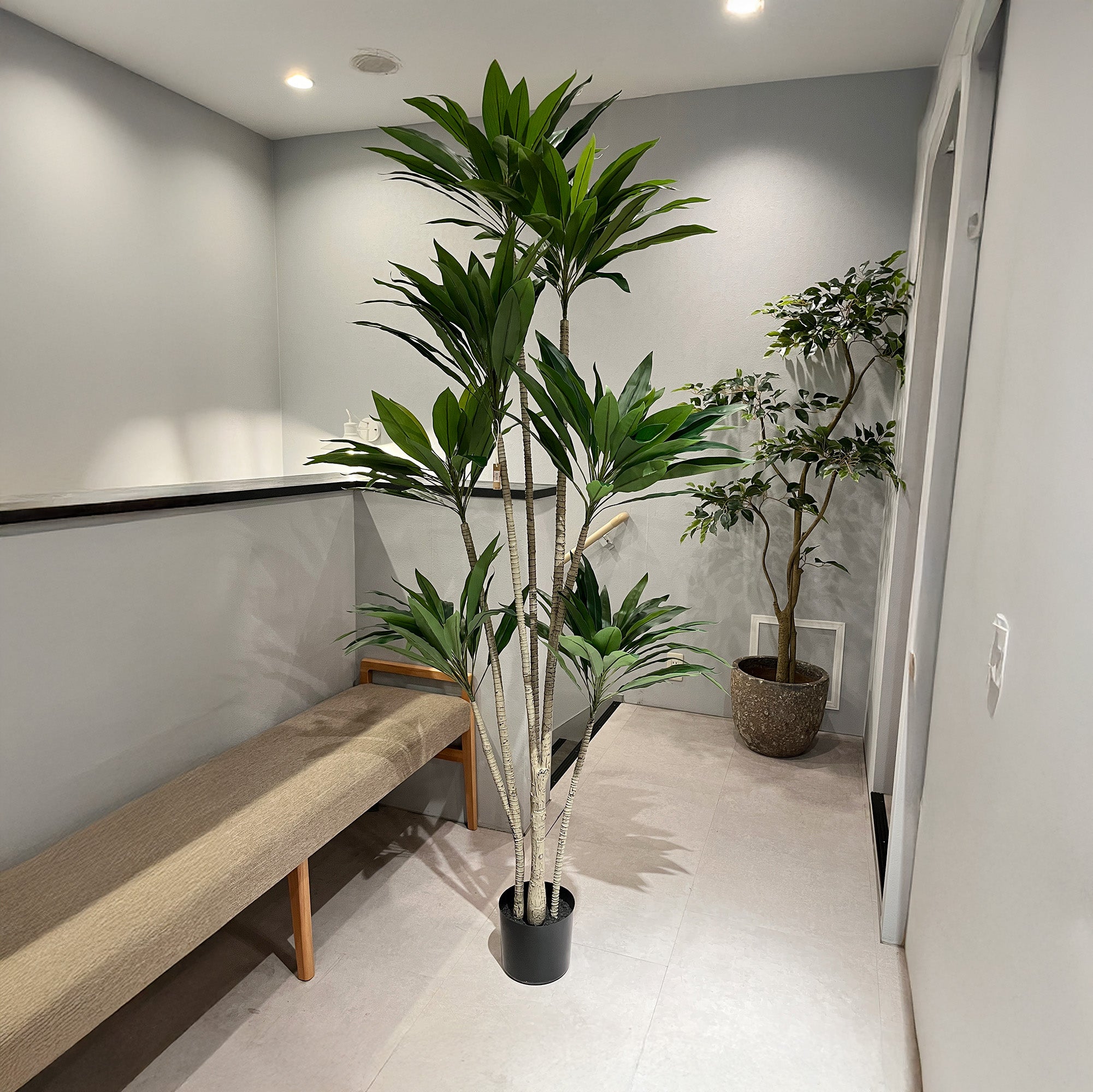 ドラセナストリクタ 190cm- フェイクグリーン専用通販サイト