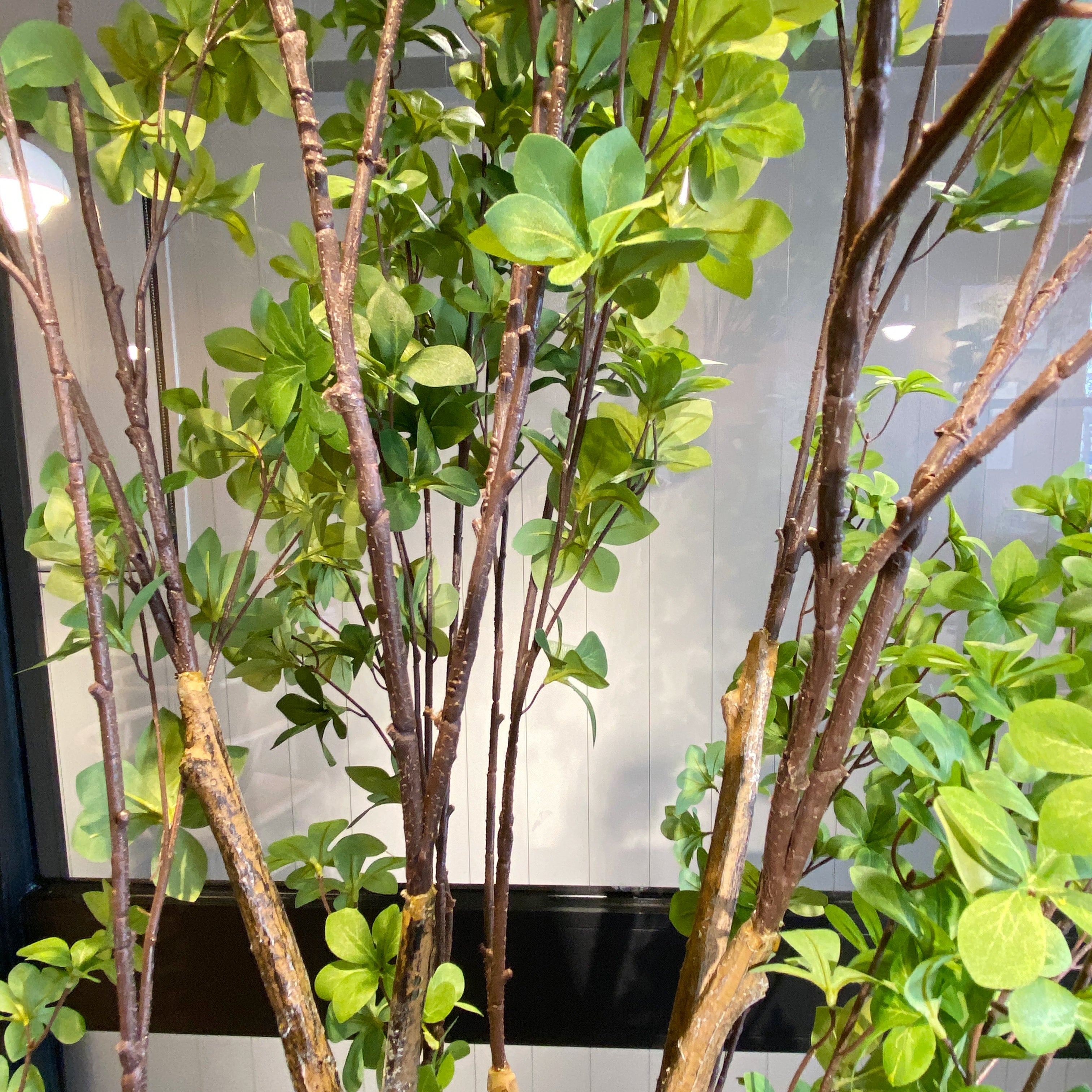 ドウダンツツジ 190cm - フェイクグリーン専用通販サイト – フェイク