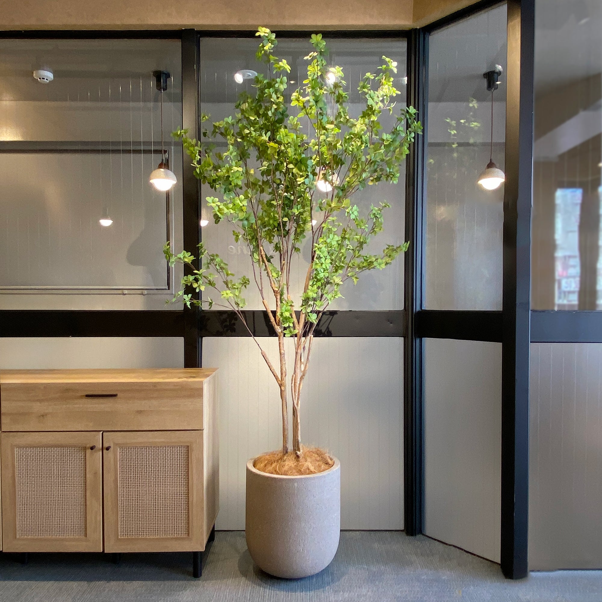 ドウダンツツジ 190cm - フェイクグリーン専用通販サイト – フェイク