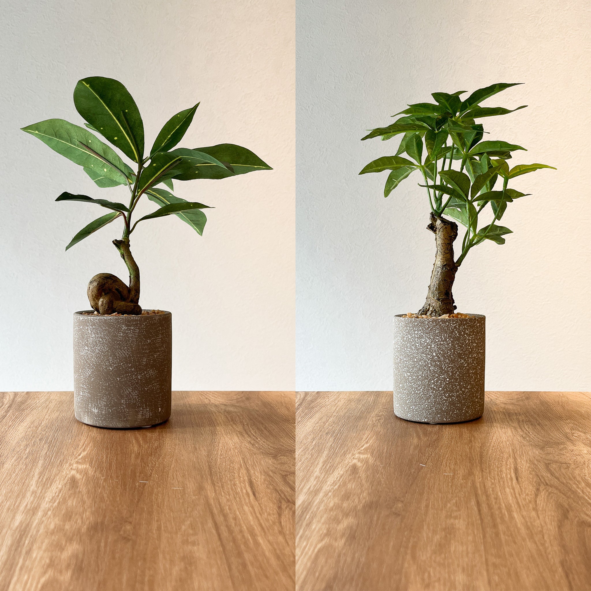 売れ筋商品2点セット - フェイクグリーン専用通販サイト – フェイク