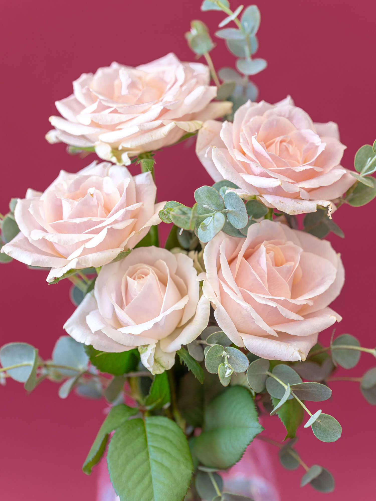 バラの花束 5本 - ピンク - | お花の通販AND PLANTS (アンドプランツ)