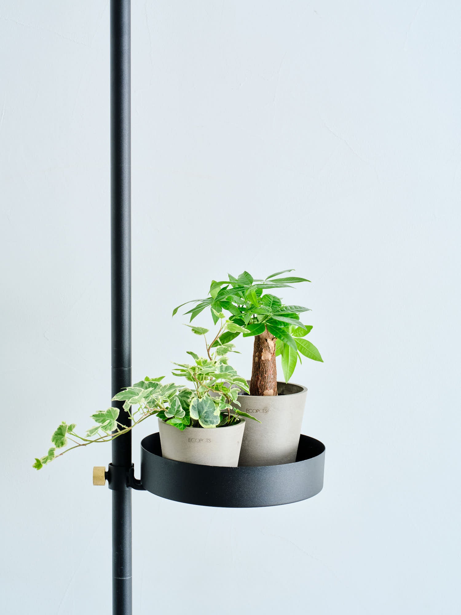 パンだ 出品 出品コメントのうちトレイ分 draw a line パンだ 出品