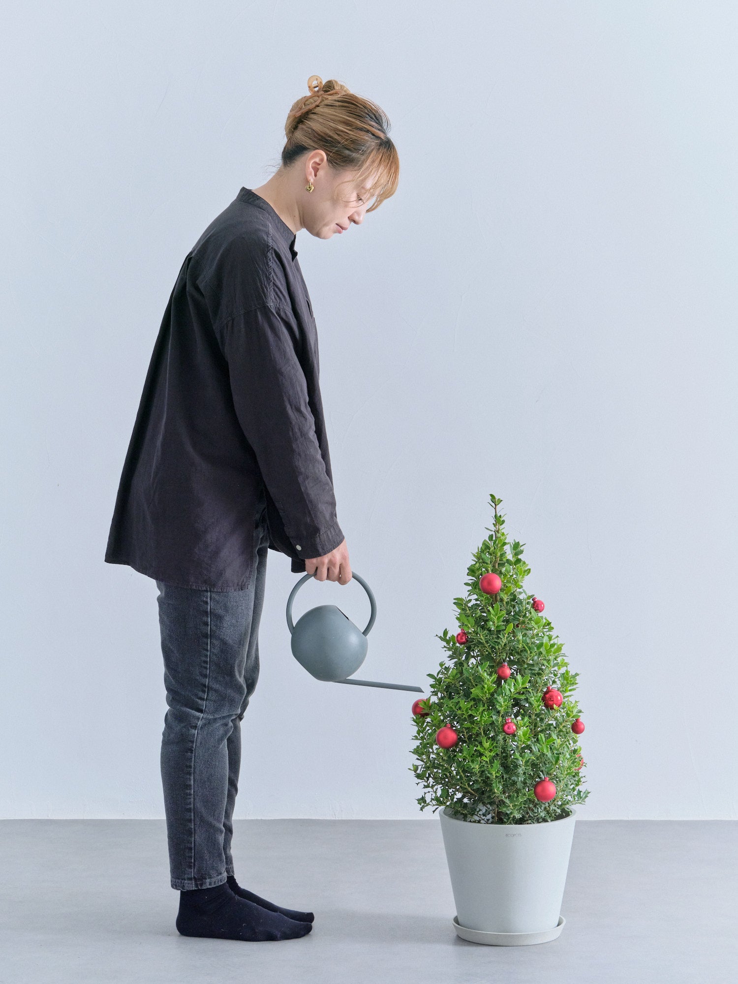 クリスマス】ひいらぎツリー -レッド- M | 観葉植物の通販 AND PLANTS