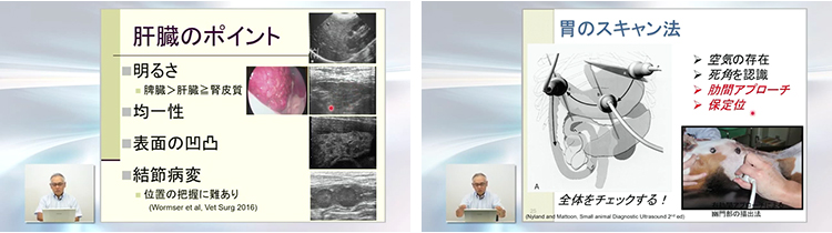 Dr.滝口の腹部エコー読影 エキスパートメソッド | 株式会社 医療情報研究所