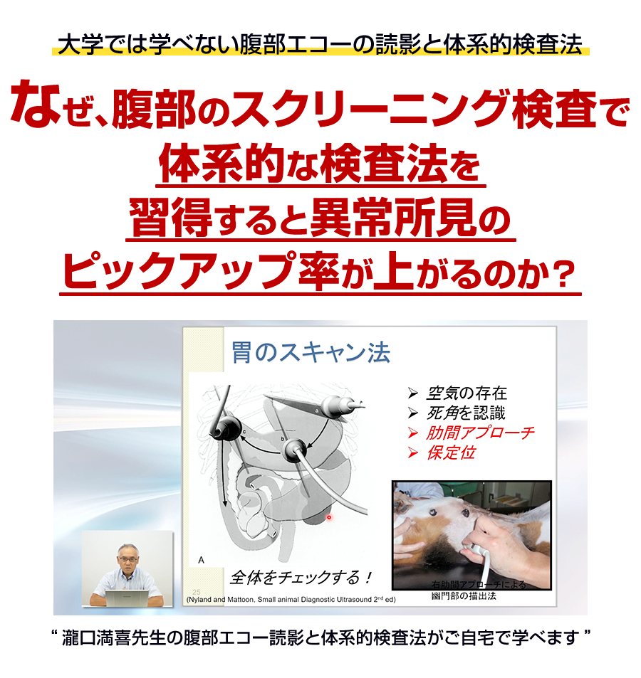 Dr.滝口の腹部エコー読影 エキスパートメソッド | 株式会社 医療情報研究所