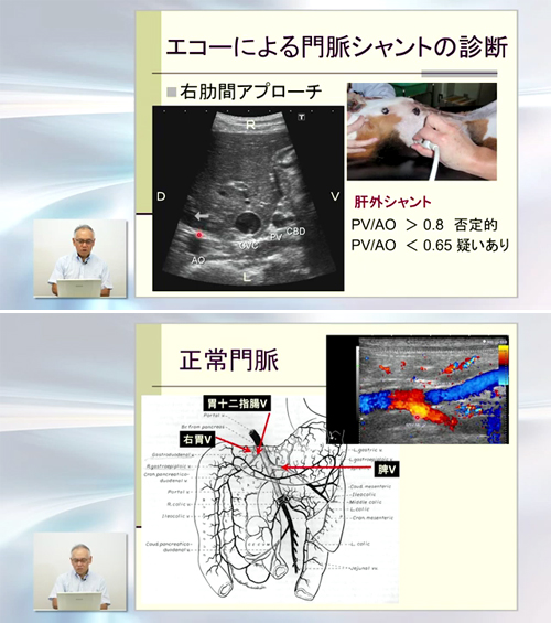 Dr.滝口の腹部エコー読影 エキスパートメソッド | 株式会社 医療情報研究所