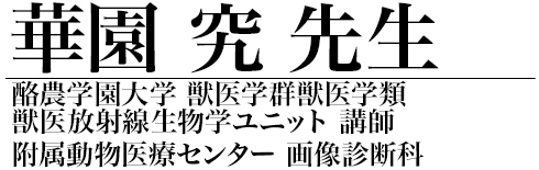 理論から実践まで！X線画像読影指南 | 株式会社 医療情報研究所