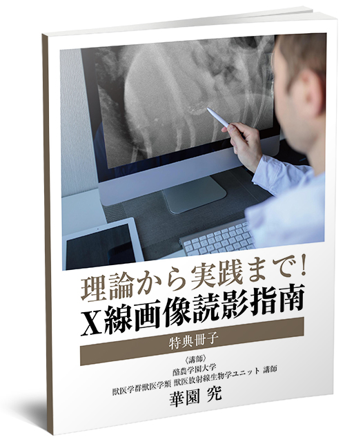 理論から実践まで！X線画像読影指南 | 株式会社 医療情報研究所