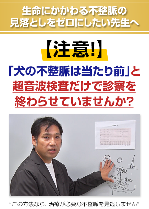不整脈完全網羅テクニック～7つの症例解説とベーシックデモ～ | 株式