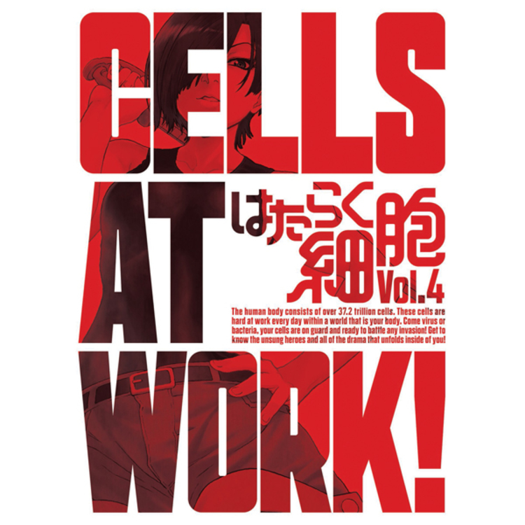 はたらく細胞／DVD／4（完全生産限定版） | TBS・MBSアニメ 公式