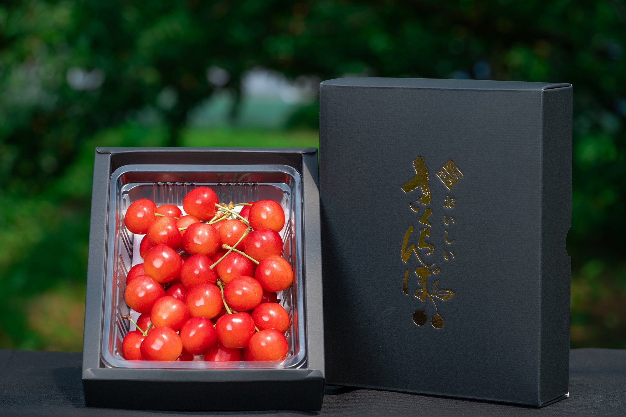 さくらんぼ 佐藤錦 秀品 Lサイズ以上 300g S-04【全国送料無料