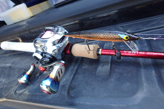 18ワールドシャウラ 1652R-3 インプレ | 隙あらばバス釣り