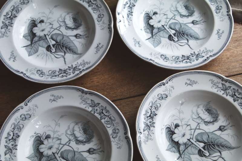 アンティークリッジウェイ william ridgway スーププレート 深皿