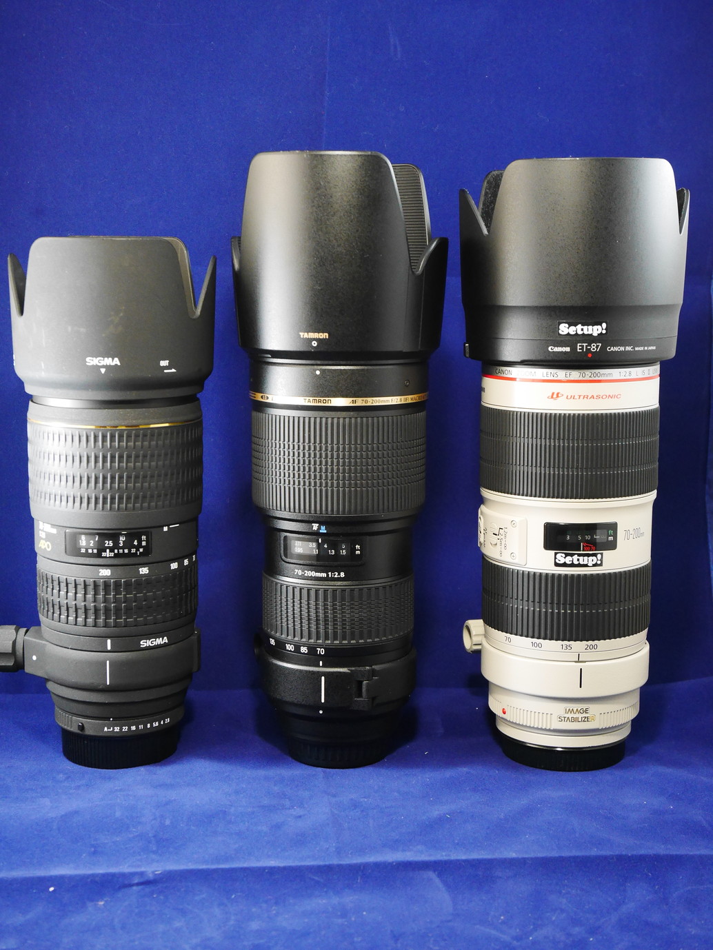 レンズレビュー】今更『SIGMA APO 70-200mm F2.8 EX DG』を使ってみる