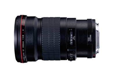 評価・作例】軽量・お手頃価格の大口径望遠レンズ『EF200mm F2.8L II