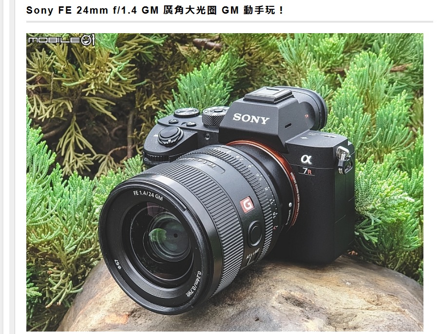 FE 24mm F1.4 GMは高速AFでは無いものの、ボケが綺麗でコマ収差の補正