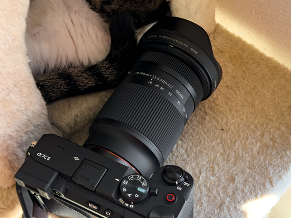 ASCII.jp：シグマのズームレンズは驚きの軽さと扱いやすさで猫撮り散歩