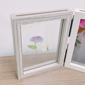 FUJICOLOR リンクフレーム チェキHL6連 ナチュラル | アサヌマネット