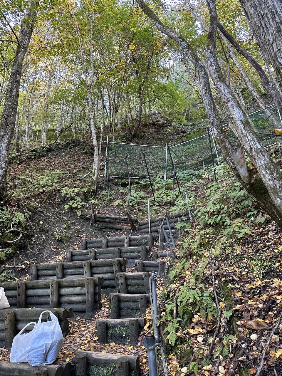 ゼロ磁場ー分杭峠 | asianbreath blog