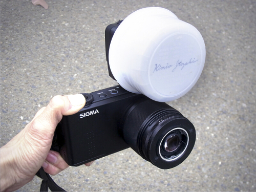 切り貼りデジカメ実験室：「SIGMA DP3 Merrill」の高倍率マクロ