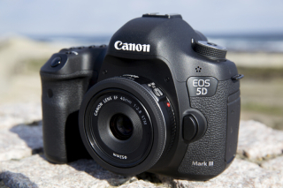 交換レンズ実写ギャラリー：キヤノンEF 40mm F2.8 STM - デジカメ Watch