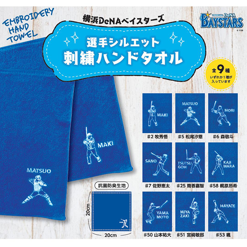 横浜DeNAベイスターズ BAY BLUE FESTIVAL ～ BAYSTARS FUN! DAYS