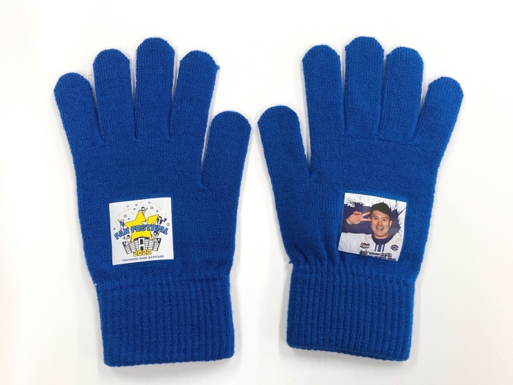 横浜DeNAベイスターズ ファンフェスティバル2023』チケット発売概要