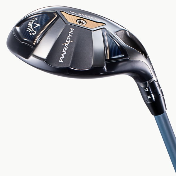 パラダイム MAX ファスト／PARADYM MAX FAST ユーティリティー