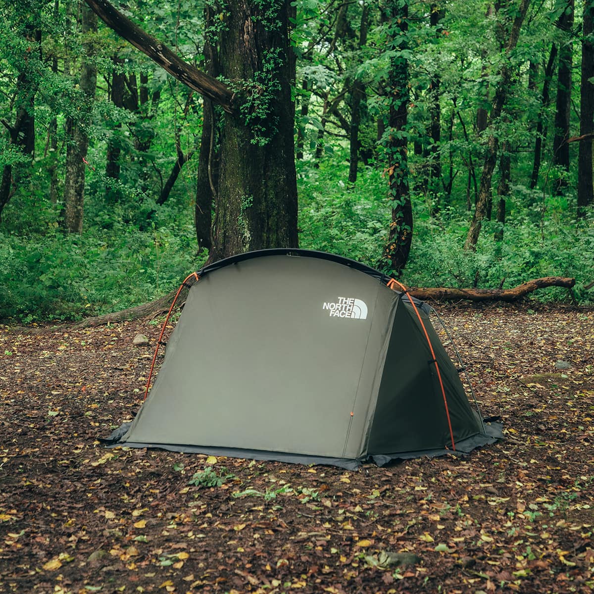 THE NORTH FACE EVACARGO 2 ニュートープ（ザ・ノース・フェイス