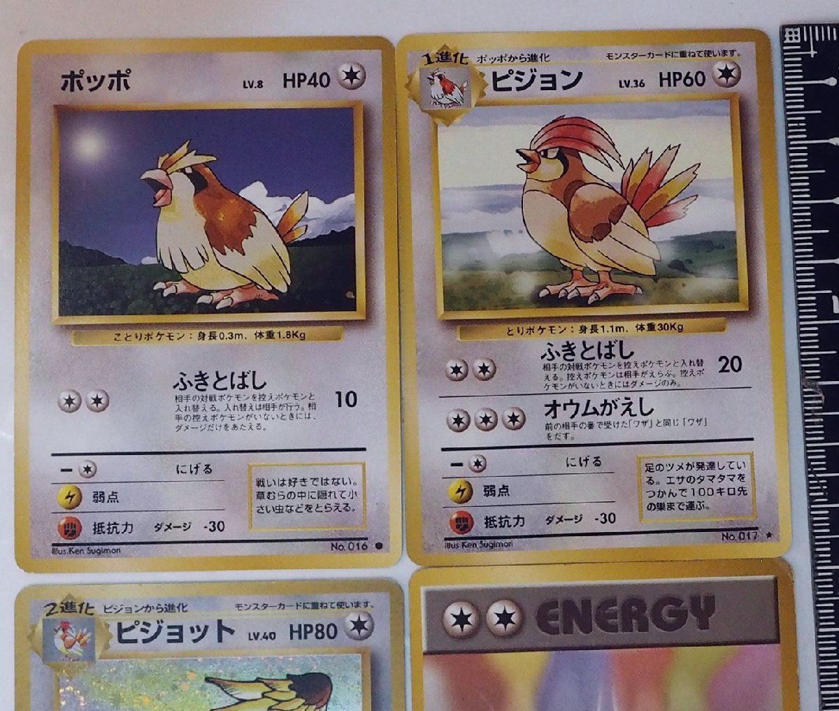 ポッポ ピジョン ピジョット ポケモン カードダス アドバンス