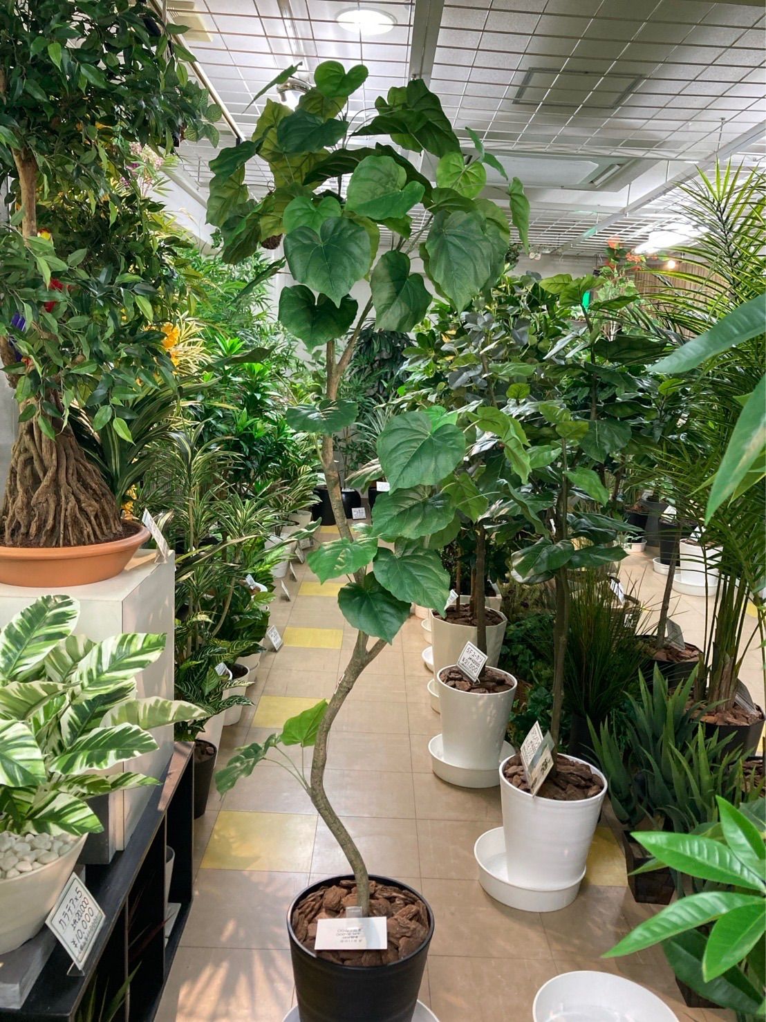 光の園 光触媒 人工観葉植物 ウォールグリーン フェイクグリーン