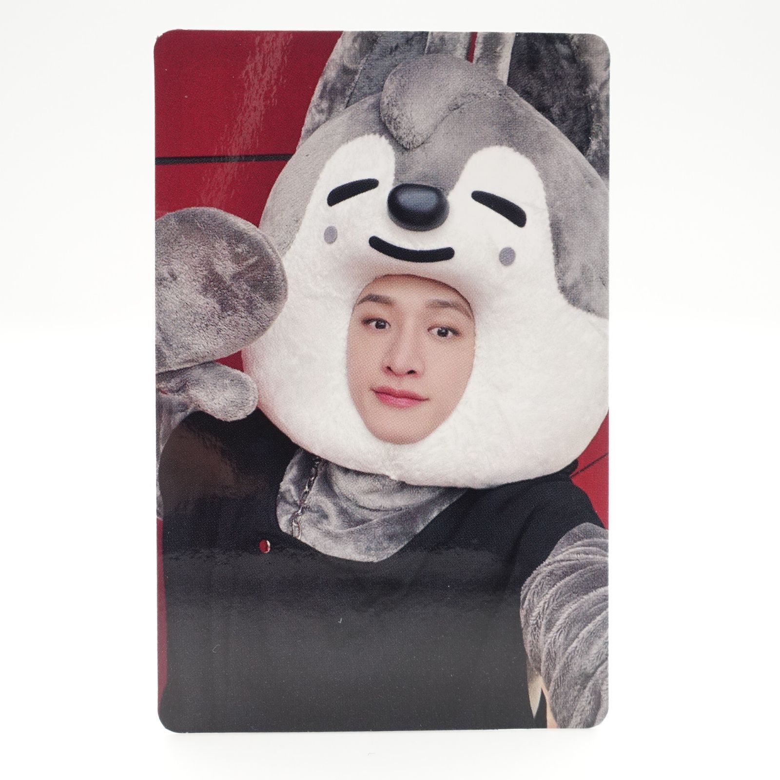 Stray Kids バンチャン MAXIDENT skzoo JYPshop 特典 きぐるみ トレカ