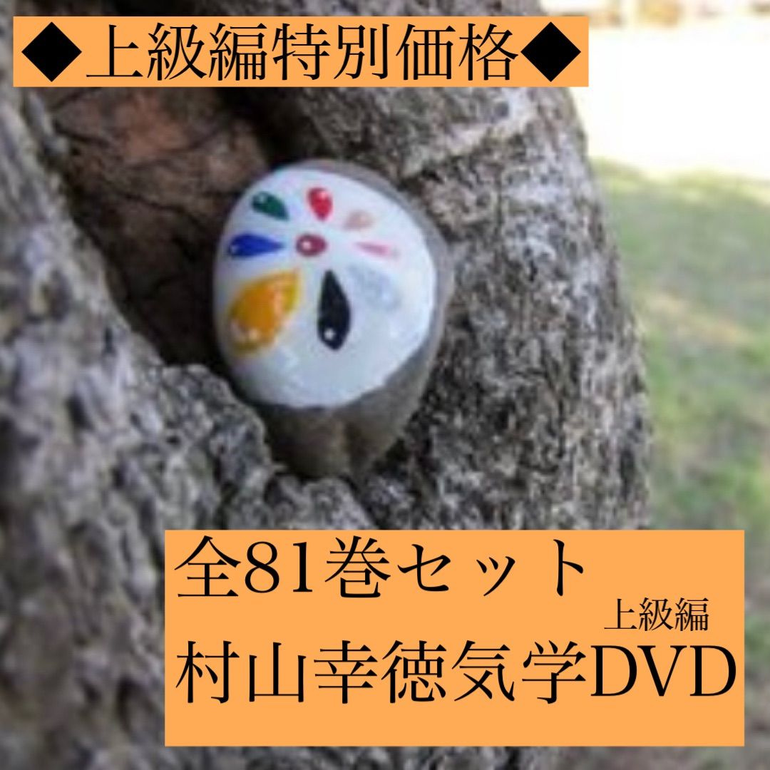 新品】村山幸徳 気学講座DVD 上級編全81巻コンプリートセット - メルカリ