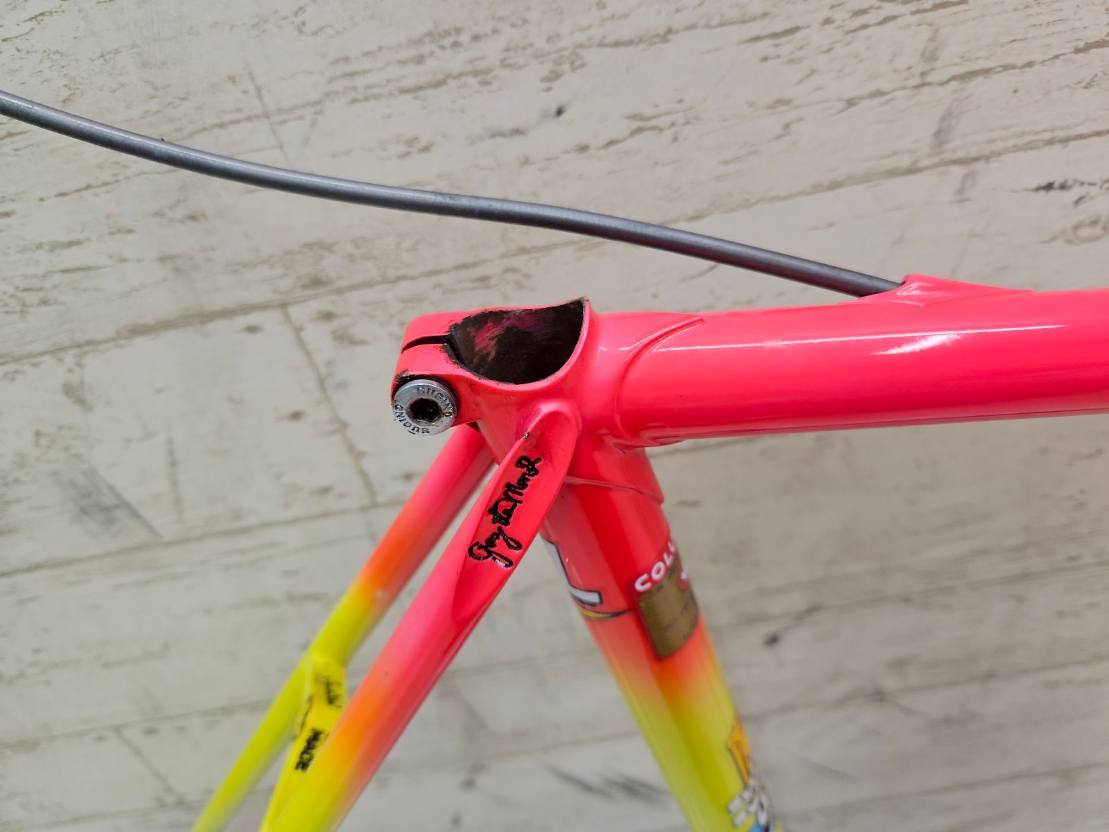 □ レア品!! Greg LeMond Team Z Replica FS size:53 グレッグ・レモン