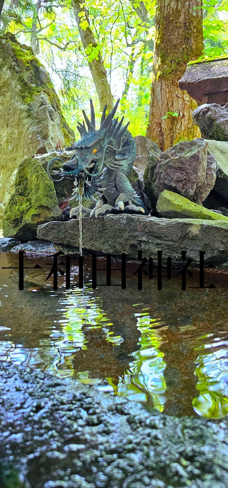 十和田湖 十和田神社 パワースポット 写真 龍神様 3枚セット