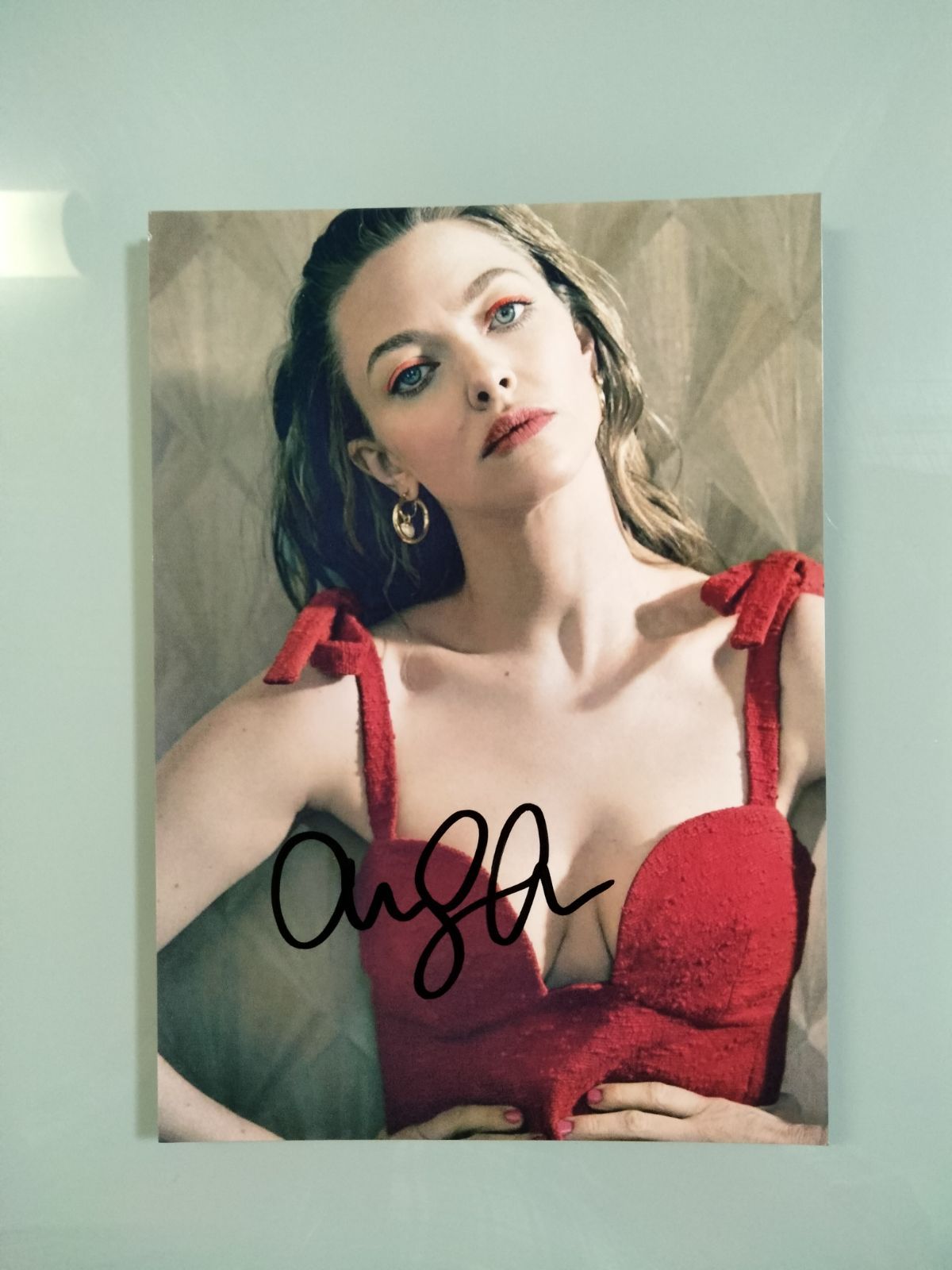 アマンダ・サイフリッド直筆サイン入り2Lサイズ写真…マンマ・ミーア