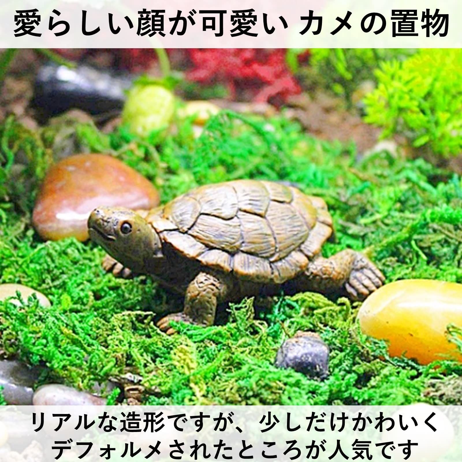 heizi 亀 カメ 置物 2個セット 庭 陶器 ガーデン オブジェ 縁起物