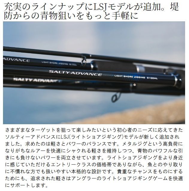19 ソルティーアドバンス ライトショアジギング S100L - メルカリ