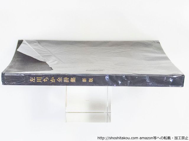 新版 左川ちか全詩集/左川ちか/森開社*37455 - メルカリ