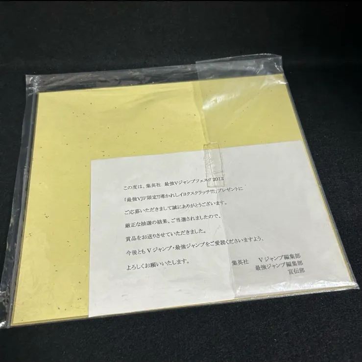 遊☆戯☆王5D's 不動遊星 当選品 サイン色紙 Vジャンプ 懸賞 レア