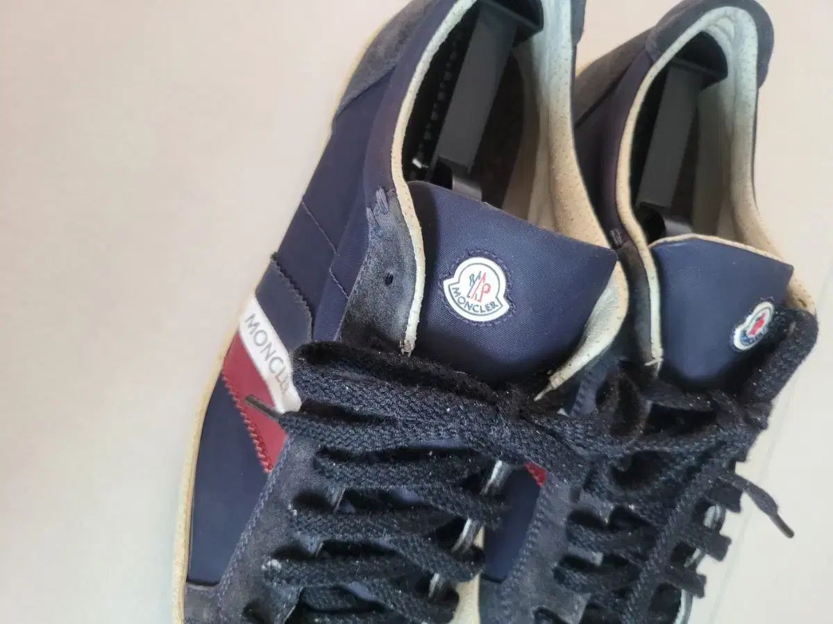 人気 居酒屋、寿司店に最適イワシイカ手書きです 前編】新潟で注目の