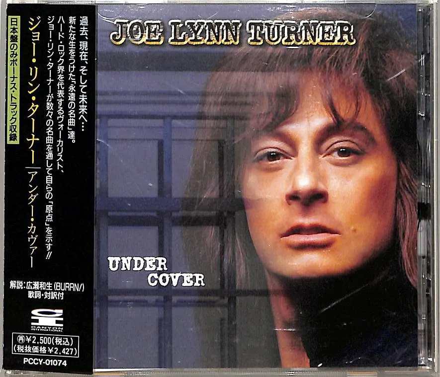 日本盤！帯付き！付属品全て有り！ジョー・リン・ターナー サン