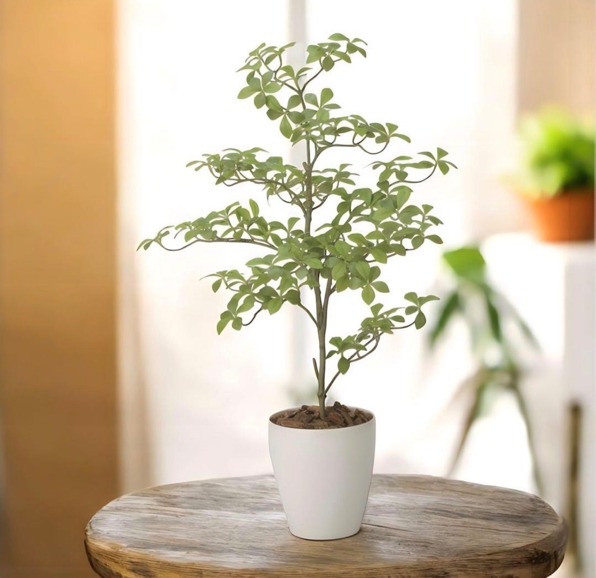 光触媒 人工観葉植物 ウォールグリーン フェイクグリーン アーモンドS1